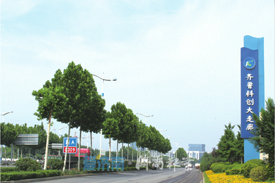 答卷2021 濟南軟件與信息技術服務業——拼搏不息，“走在前”的強勁引擎